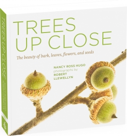 Trees Up Close: The Beauty of Their Bark, Leaves, Flowers, and Seeds