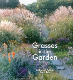 Grasses In The Garden