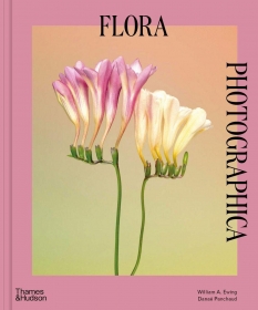 Flora Photographica: The Flower in Contemporary Photography ( )