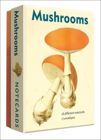 Mushrooms: An Abbeville Notecard Set