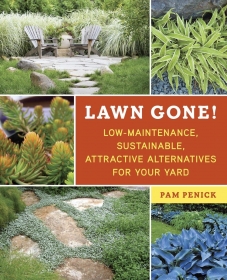 Lawn Gone! Low-Maintenance, Sustainable, Attractive Alternatives for Your Yard